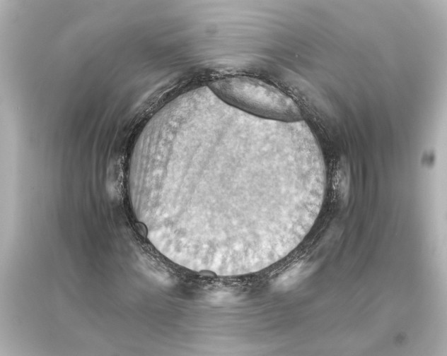X0000093590868200711121122