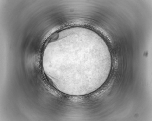 X0000093590874200711121122