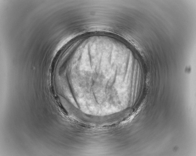 X0000093590877200711121122