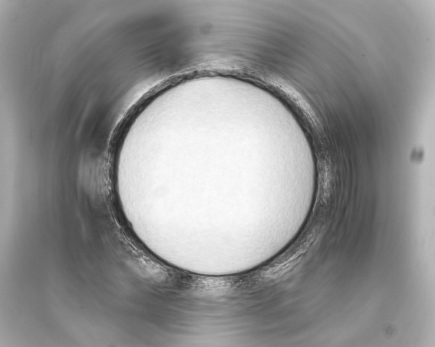 X0000093590878200711121122