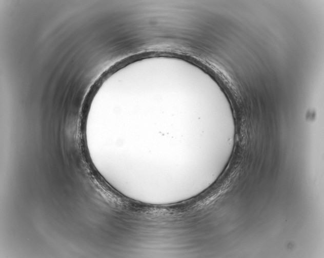 X0000093590880200711121122