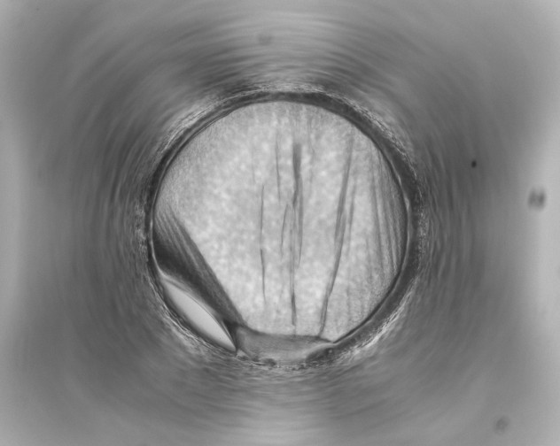 X0000093590881200711121122