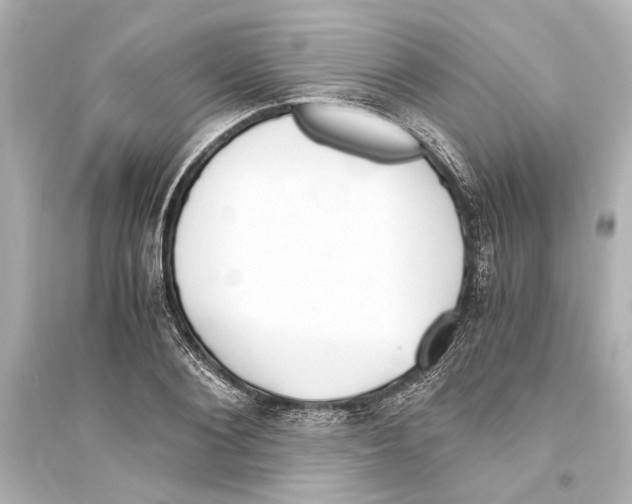 X0000093590884200711121121