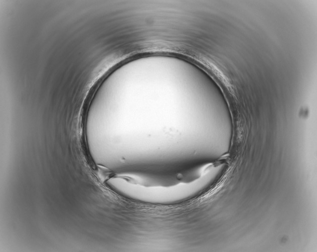 X0000093590885200711121121