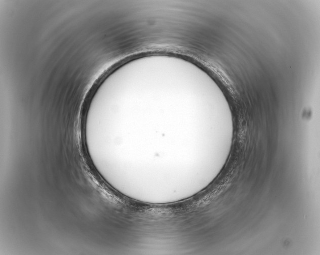 X0000093590888200711121121