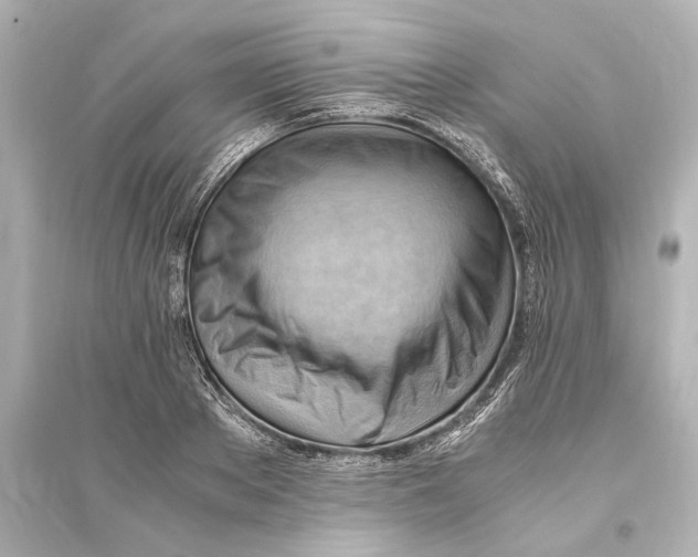 X0000093590889200711121121