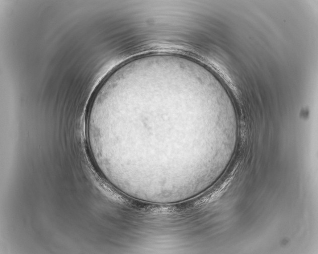 X0000093590891200711121121