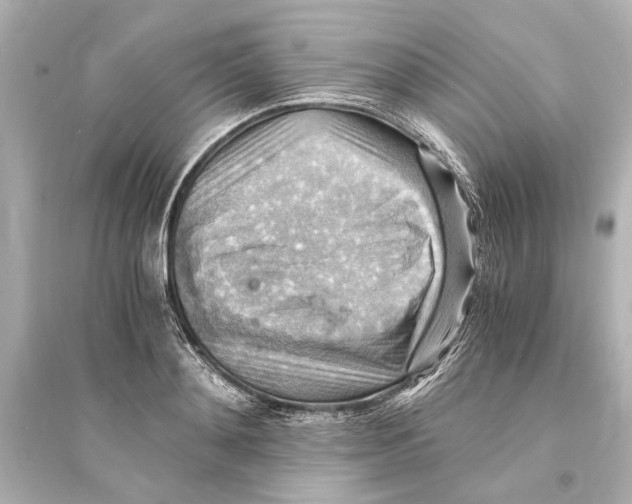 X0000093590892200711121121