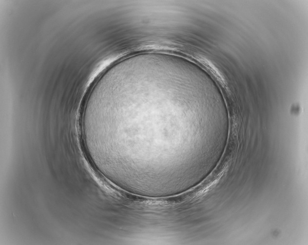X0000093590893200711121121