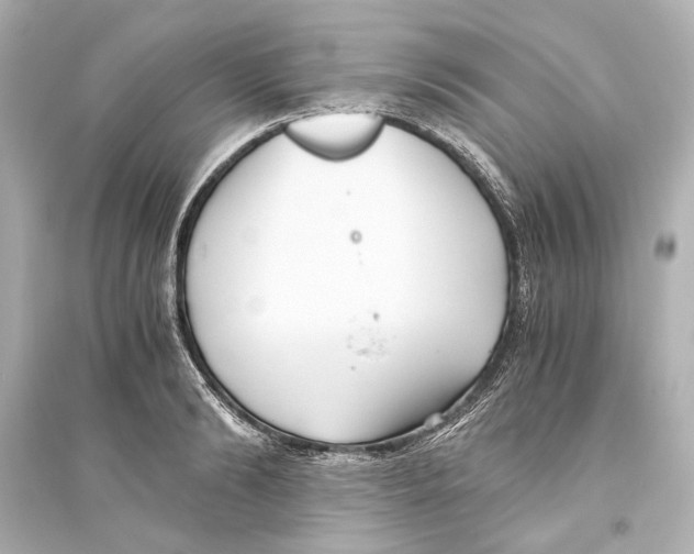 X0000093590894200711121121