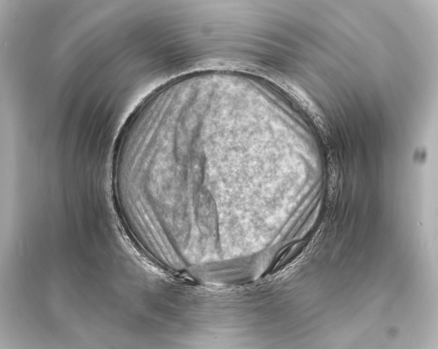 X0000093590896200711121121