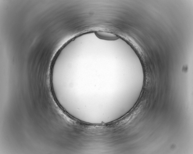 X0000093590902200711121121