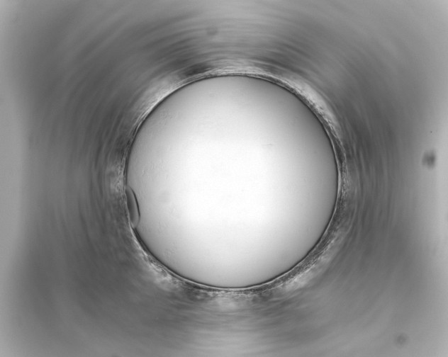 X0000093590905200711121121