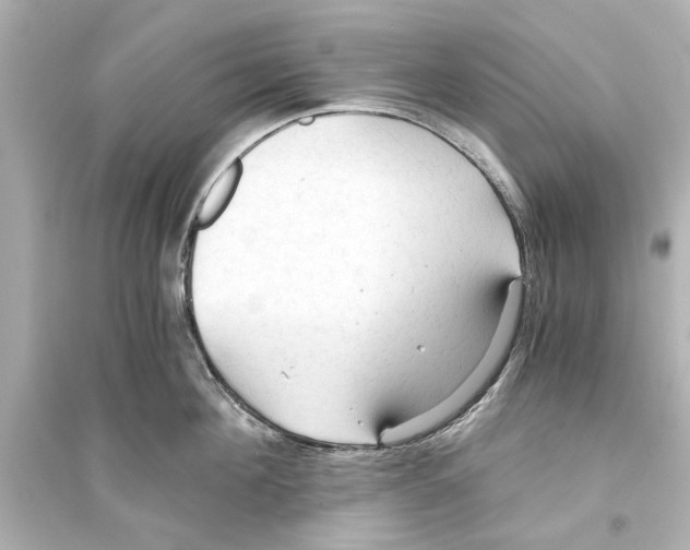 X0000093590908200711121121