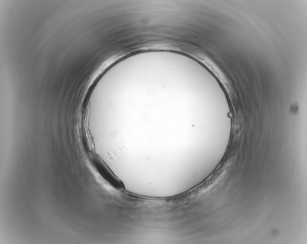 X0000093590909200711121121