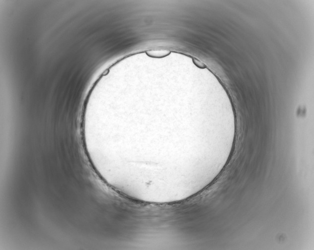 X0000093590912200711121121