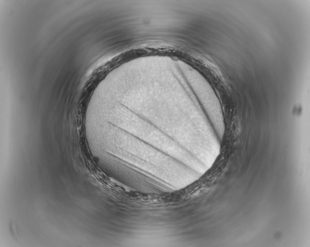 X0000093590920200711121121