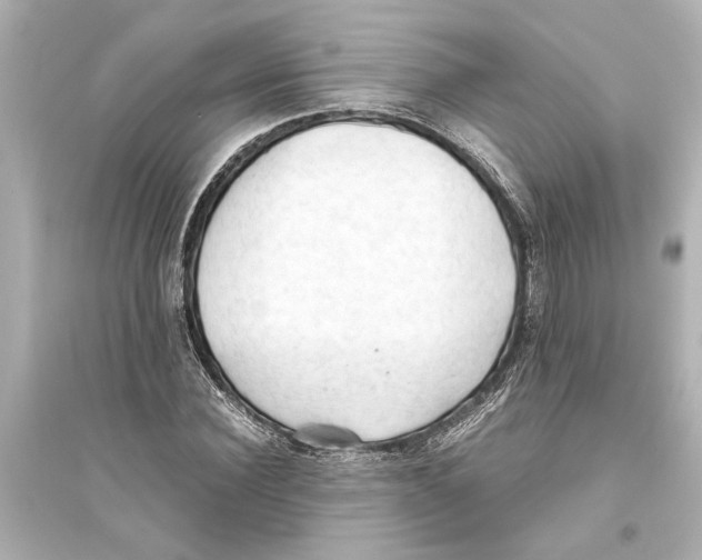 X0000093590924200711121121