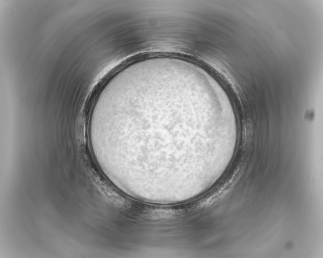 X0000093590925200711121121
