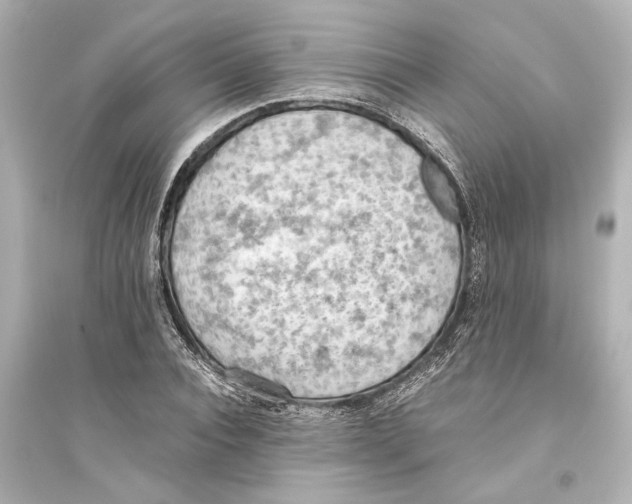 X0000093590928200711121121