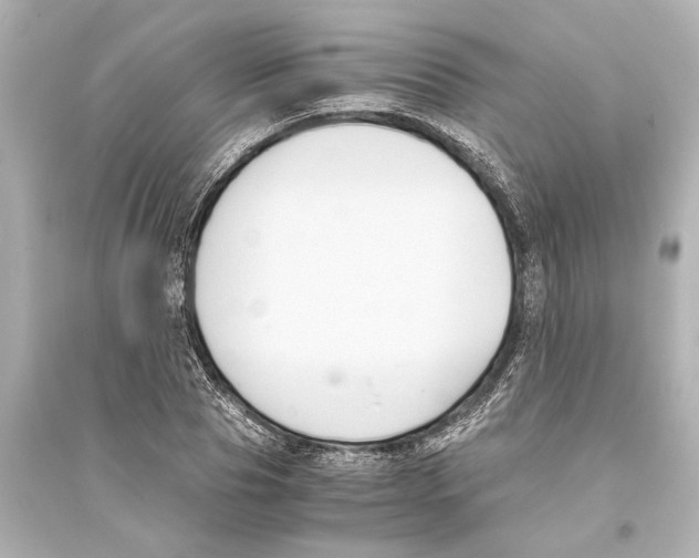 X0000093590929200711121121