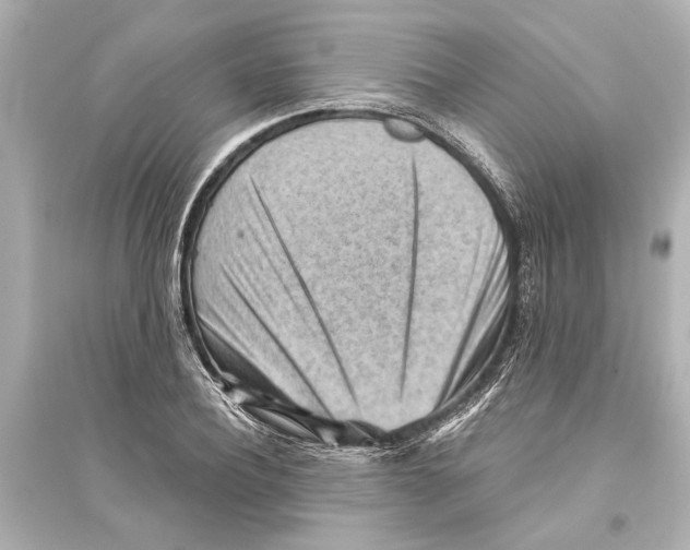 X0000093590932200711121121