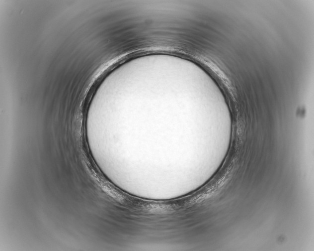 X0000093590933200711121121