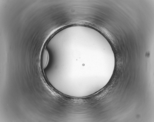 X0000093590940200711121121