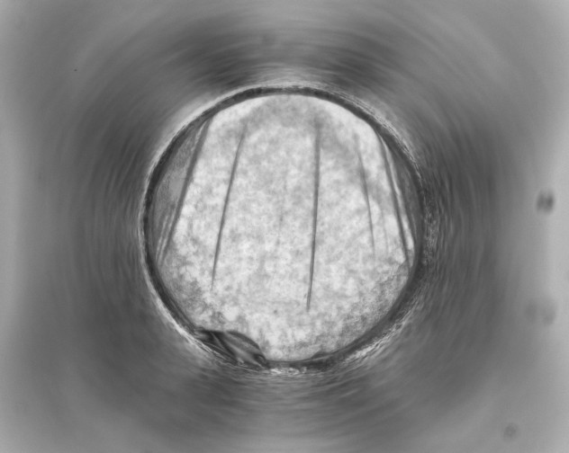 X0000093590943200711121121