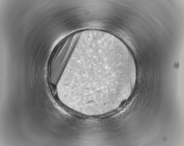 X0000093590944200711121121