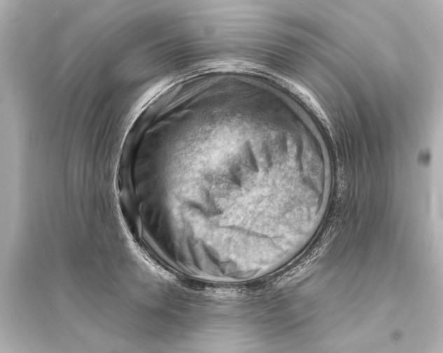 X0000093590946200711121121