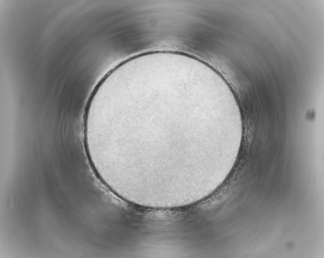 X0000093590950200711121121