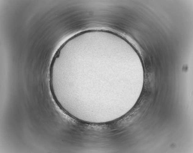 X0000093590951200711121121