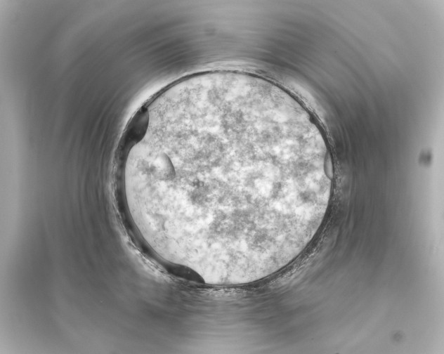 X0000093590952200711121121