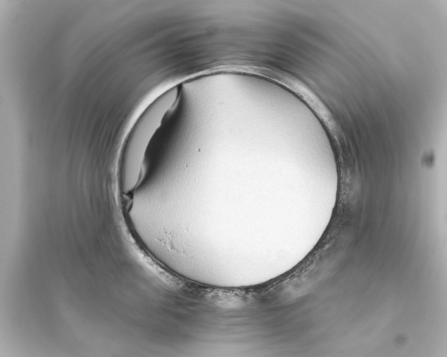 X0000093590955200711121121