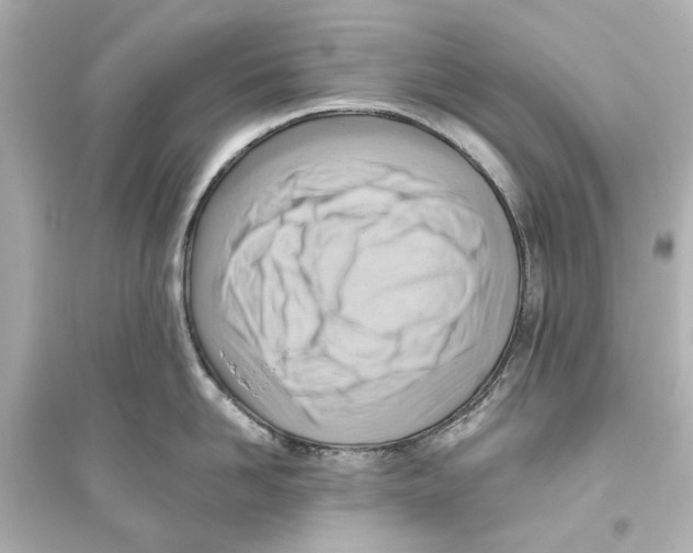X0000093590958200711121121