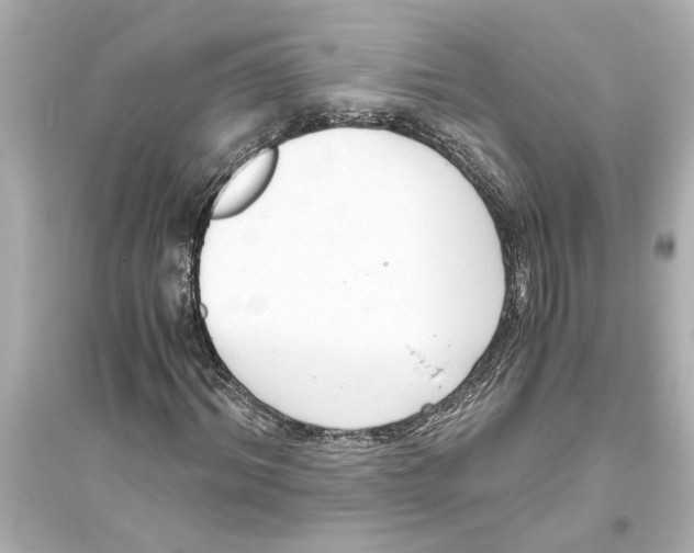 X0000093590964200711121120