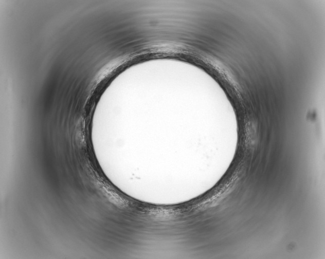 X0000093590970200711121120