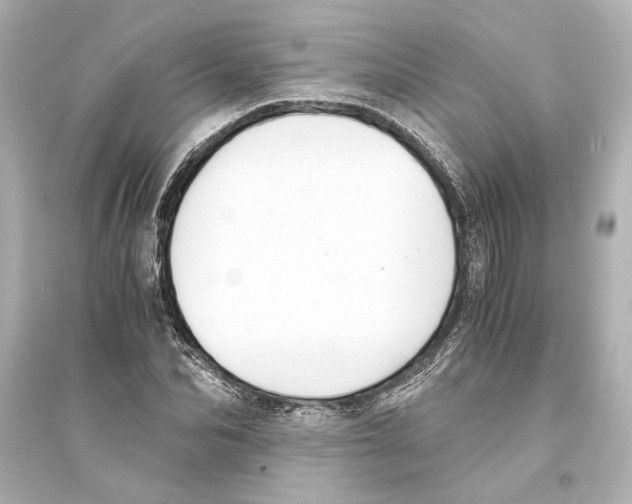 X0000093590974200711121120