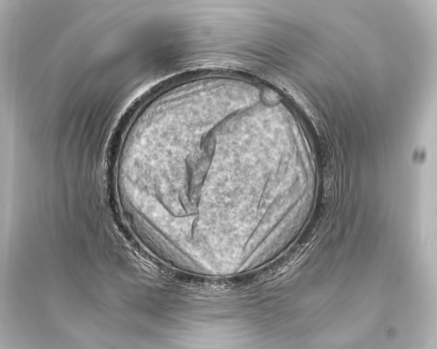 X0000093590975200711121120