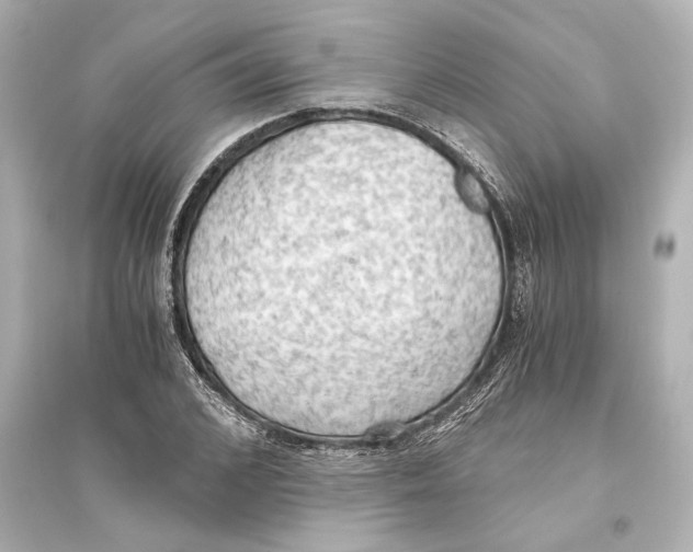 X0000093590976200711121120