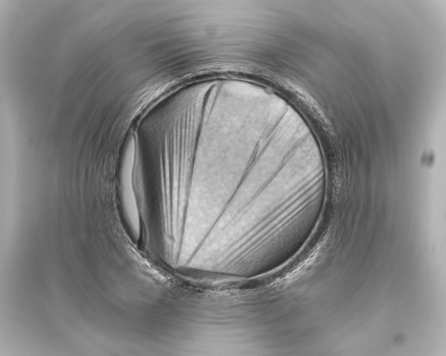 X0000093590977200711121120
