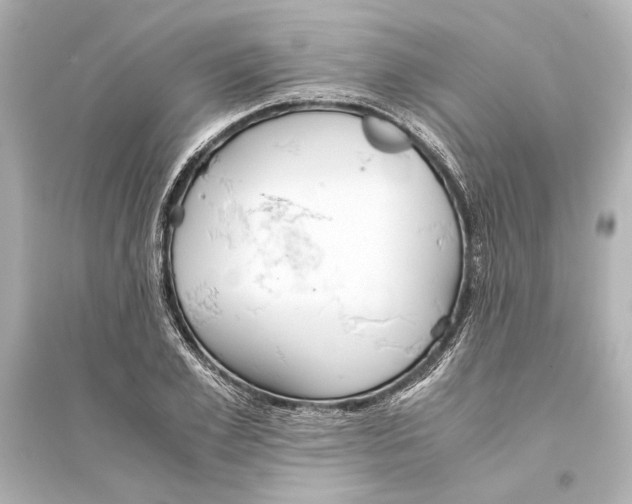 X0000093590981200711121120