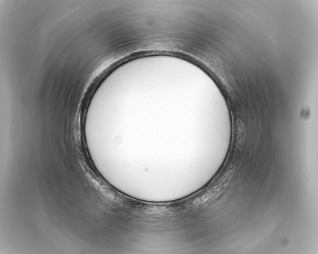 X0000093590982200711121120