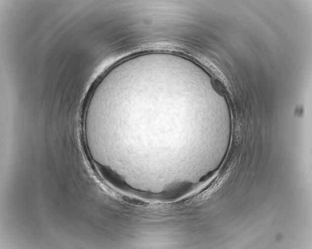 X0000093590989200711121120