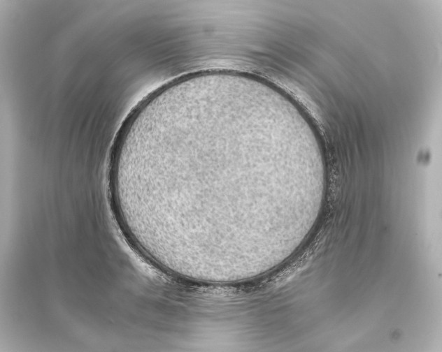 X0000093590991200711121120
