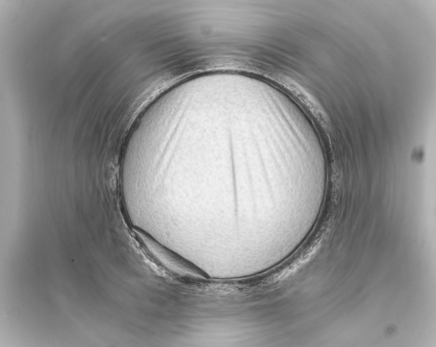 X0000093590993200711121120