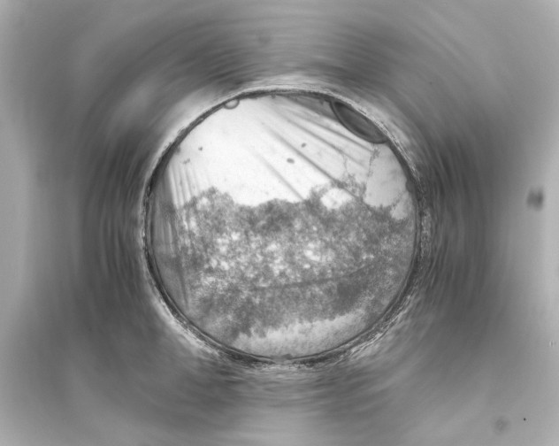 X0000093590998200711121120