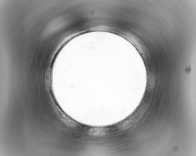 X0000093591000200711121120