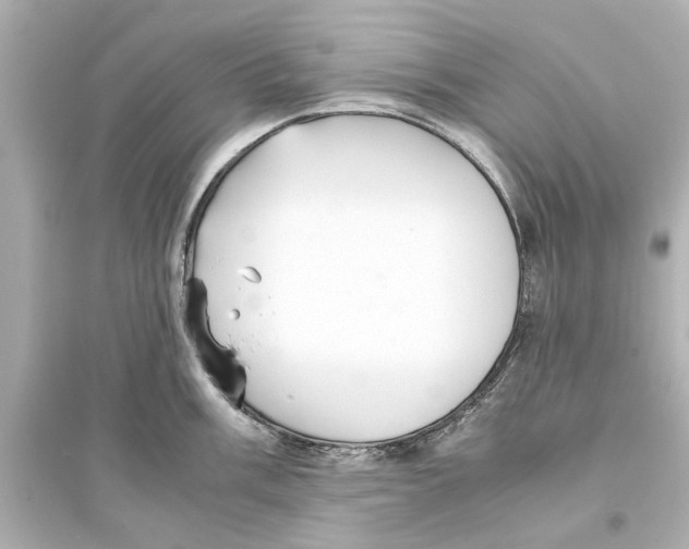 X0000093591003200711121120